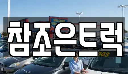 경기 광주시 송정동 중고차 전문 참조은트럭