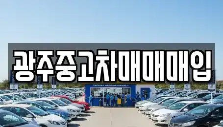 경기 광주시 송정동 중고차매입 전문 광주중고차매매매입