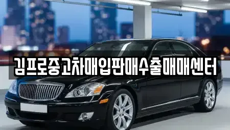 경기 광주시 송정동 중고차매입 전문 김프로중고차매입판매수출매매센터