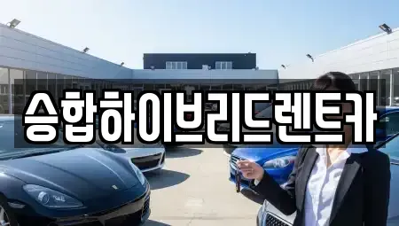 경기 구리시 단기렌트카 전문 승합하이브리드렌트카