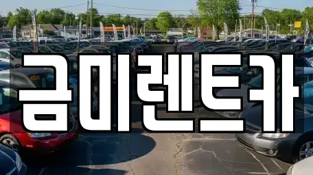 경기 부천시 오정구 고강동 렌트카 전문 금미렌트카