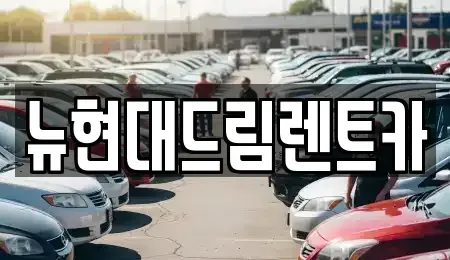 경기 부천시 오정구 고강동 장기렌트카 전문 뉴현대드림렌트카