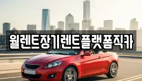 경기 부천시 오정구 고강동 장기렌트카 전문 월렌트장기렌트플랫폼직카