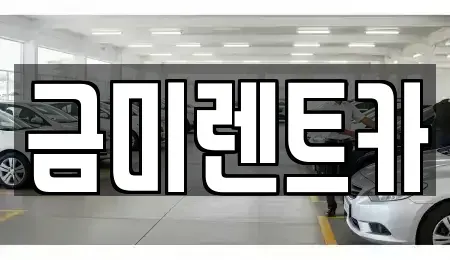 경기 부천시 오정구 작동 렌트카 전문 금미렌트카
