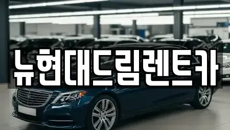 경기 부천시 오정구 작동 장기렌트카 전문 뉴현대드림렌트카