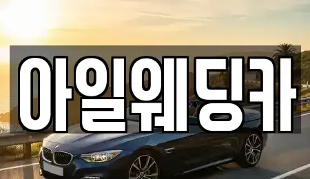 경기 성남시 수정구 수진동 단기렌트카 전문 아일웨딩카