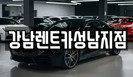 경기 성남시 수정구 수진동 렌트카 전문 강남렌트카성남지점