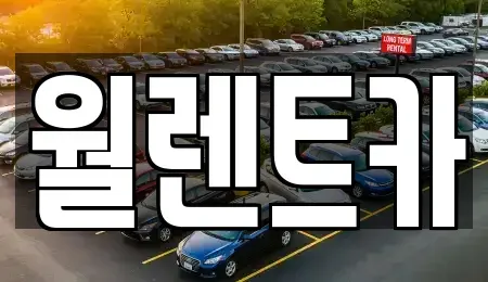 경기 성남시 수정구 수진동 렌트카 전문 월렌트카