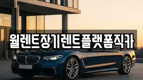 경기 성남시 수정구 수진동 장기렌트카 전문 월렌트장기렌트플랫폼직카