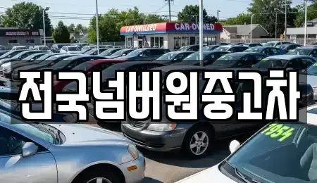 경기 성남시 수정구 수진동 중고차 전문 전국넘버원중고차