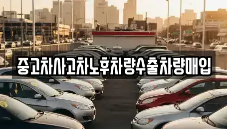 경기 성남시 수정구 수진동 중고차매입 전문 중고차사고차노후차량수출차량매입