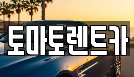 경기 성남시 중원구 갈현동 렌트카 전문 토마토렌트카