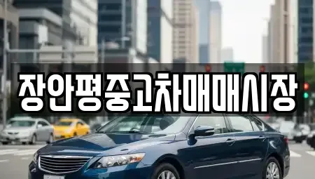 경기 성남시 중원구 갈현동 중고차 전문 장안평중고차매매시장