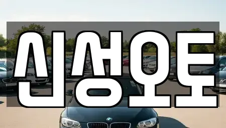 경기 수원시 권선구 권선동 중고차 전문 신성오토
