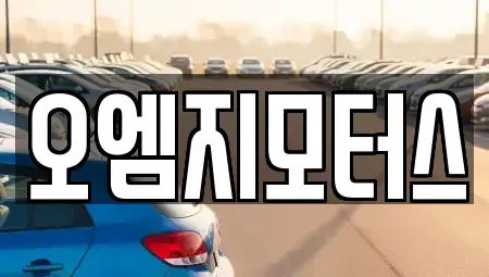 경기 수원시 권선구 권선동 중고차 전문 오엠지모터스