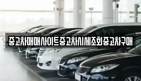 경기 수원시 권선구 권선동 중고차 전문 중고차매매사이트중고차시세조회중고차구매