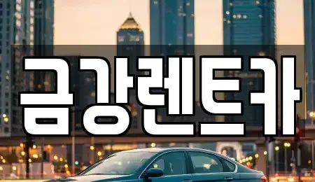 경기 수원시 영통구 망포동 렌트카 전문 금강렌트카