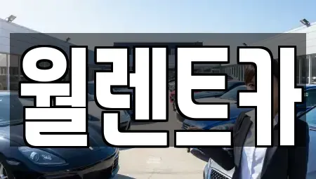 경기 수원시 영통구 망포동 렌트카 전문 월렌트카