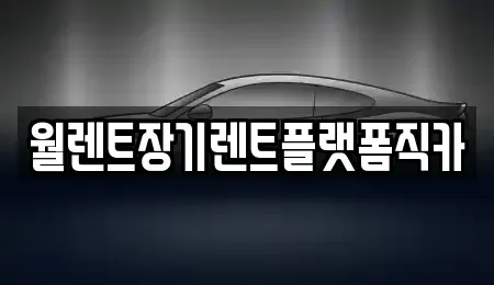 경기 수원시 영통구 망포동 장기렌트카 전문 월렌트장기렌트플랫폼직카