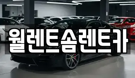 경기 수원시 장안구 연무동 렌트카 전문 월렌트솜렌트카