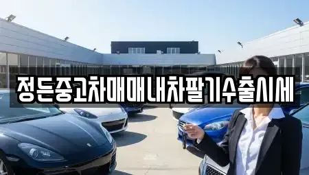 경기 수원시 장안구 연무동 중고차 전문 정든중고차매매내차팔기수출시세