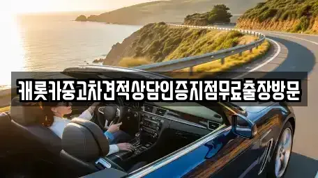 경기 수원시 장안구 연무동 중고차 전문 캐롯카중고차견적상담인증지점무료출장방문