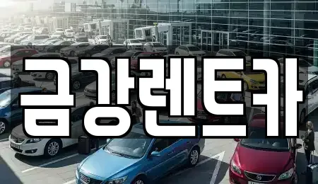 경기 수원시 장안구 영화동 렌트카 전문 금강렌트카