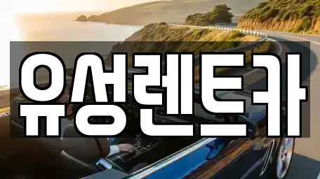 경기 수원시 장안구 영화동 렌트카 전문 유성렌트카