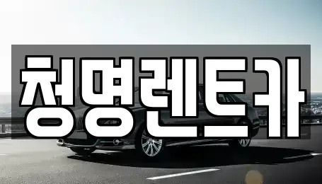 경기 수원시 장안구 영화동 렌트카 전문 청명렌트카