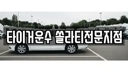 경기 수원시 장안구 영화동 렌트카 전문 타이거운수 쏠라티전문지점