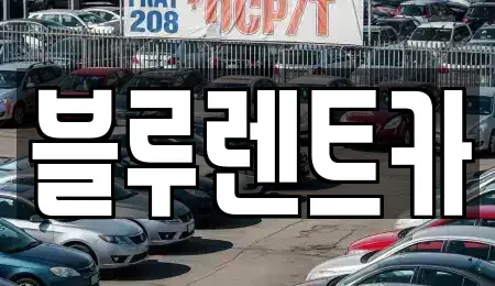 경기 수원시 팔달구 매산로2가 렌트카 전문 블루렌트카