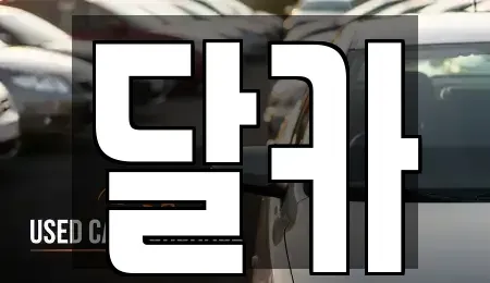 경기 수원시 팔달구 매산로2가 장기렌트카 전문 달카