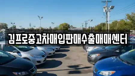 경기 수원시 팔달구 매산로2가 중고차매입 전문 김프로중고차매입판매수출매매센터