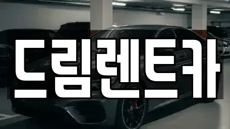 경기 시흥시 은행동 렌트카 전문 드림렌트카