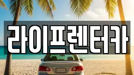 경기 시흥시 은행동 렌트카 전문 라이프렌터카