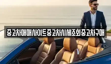경기 시흥시 은행동 중고차매매 전문 중고차매매사이트중고차시세조회중고차구매