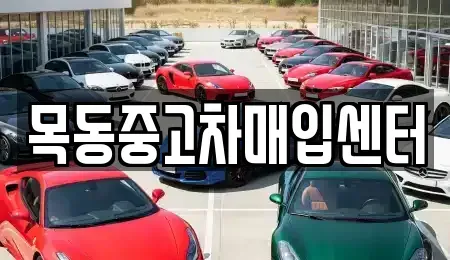 경기 시흥시 은행동 중고차매입 전문 목동중고차매입센터