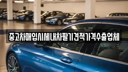 경기 시흥시 은행동 중고차매입 전문 중고차매입시세내차팔기견적가격수출업체