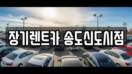 경기 시흥시 정왕동 단기렌트카 전문 장기렌트카 송도신도시점