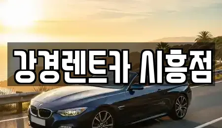 경기 시흥시 정왕동 렌트카 전문 강경렌트카 시흥점