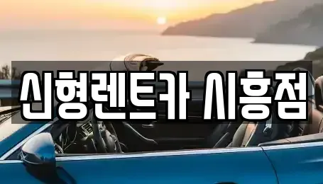 경기 시흥시 정왕동 렌트카 전문 신형렌트카 시흥점
