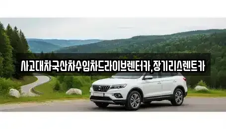 경기 시흥시 정왕동 장기렌트카 전문 사고대차국산차수입차드라이브렌터카,장기리스렌트카