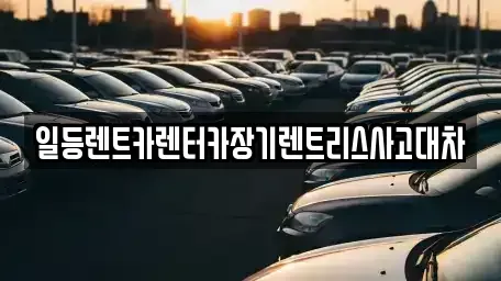 경기 시흥시 정왕동 장기렌트카 전문 일등렌트카렌터카장기렌트리스사고대차