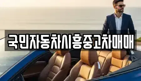 경기 시흥시 정왕동 중고차 전문 국민자동차시흥중고차매매