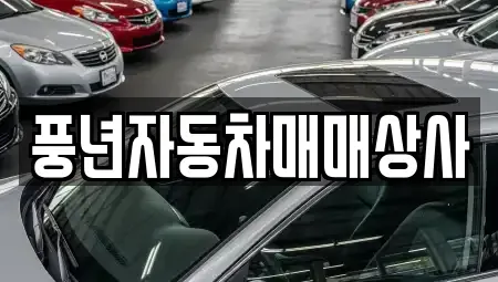 경기 시흥시 정왕동 중고차매매 전문 풍년자동차매매상사
