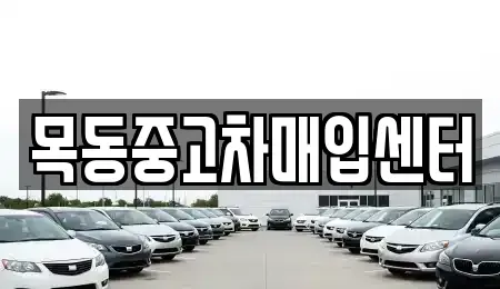 경기 시흥시 정왕동 중고차매입 전문 목동중고차매입센터