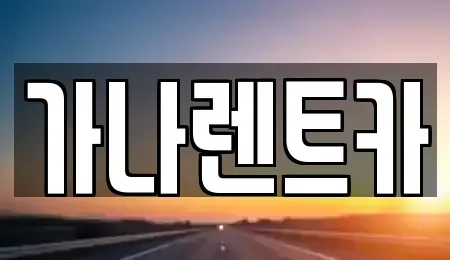 경기 안성시 가현동 렌트카 전문 가나렌트카