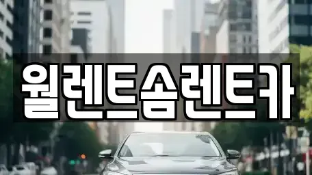경기 안성시 가현동 렌트카 전문 월렌트솜렌트카
