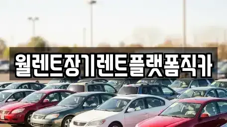 경기 안성시 가현동 장기렌트카,중고차,렌트카,단기렌트카,중고차매입,중고차매매