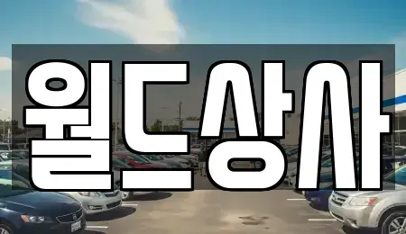 경기 안성시 가현동 중고차 전문 월드상사